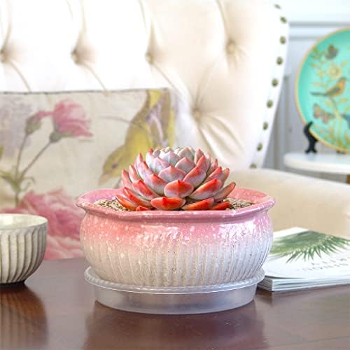 8 Inch Succulent Pot with Drainage and Saucer Glazed Terracotta Round Ceramic Succulent Planter Cactus Bonsai Plant Pot (Pink) - Image 6