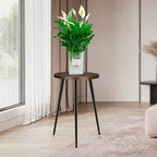 KINNARY Tall Plant Stand Indoor, Mid Century Wood Plant Stand Plant Table for Flower Pots, Heavy Duty Metal Plant Holder, Modern Home Decor Small Round Side End Table (11.8"x20") - Image 2