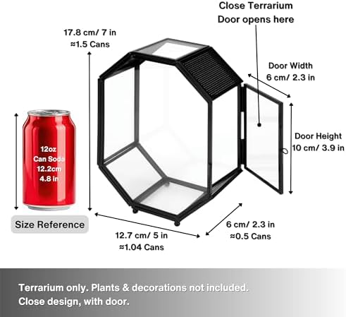 NCYP Mini Vented Glass Terrarium with Vent and Door for Jumping Spiders - Octagon Small Spider Enclosure, Black, Tabletop Decor, 5 x 2.3 x 7 Inches (Terrarium Only) - Image 4