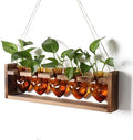 Plant Terrarium Hanging Propagation Stations Gift for Women by YYHglass