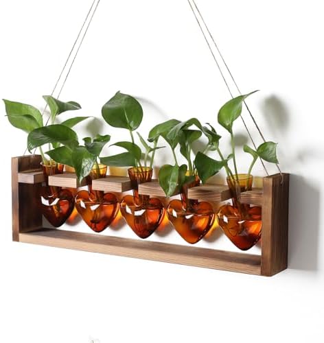 Plant Terrarium Hanging Propagation Stations Gift for Women by YYHglass