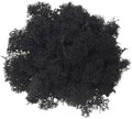 500g Artificial Moss for Crafts, Faux Decorative Plant for DIY Walls Wedding Party Table Centerpieces Home, Black by LKXHarleya