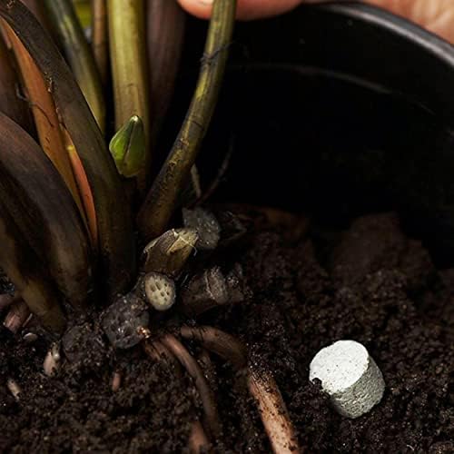 Chalily Aquatic Plant Fertilizer for Water Lily and Lotus | 10-14-8 Guaranteed Analysis with Humates (4000 Count) - Image 6