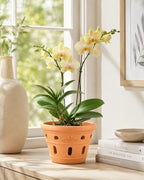 vensovo 5 Inch Terracotta Orchid Pots with Holes, 6 Pack Clay Planters - Image 6