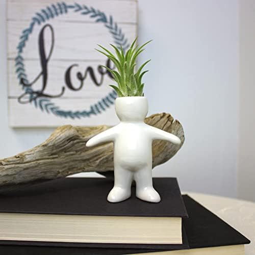 White Ceramic Man, Woman, Boy and Girl People Shaped Planters with Live Tillandsia Air Plants - 3.5"-4.75" Potted Indoor Air Plants for Home and Office Decor - Image 5