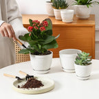 Sureasy Ceramic Plant Pots, 4.7 Inch Flower Pots for Indoor Plants, Succulent Pots with Saucer and Drainage Hole, Decorative Planter for Succulent, Cactus, Set of 4, White - Image 5