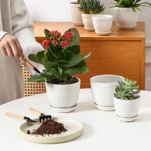 Sureasy Ceramic Plant Pots, 4.7 Inch Flower Pots for Indoor Plants, Succulent Pots with Saucer and Drainage Hole, Decorative Planter for Succulent, Cactus, Set of 4, White - Image 5
