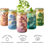 Modern Sprout Mason Garden Jar-Self-Watering Kit - Lavender+Rosemary - Image 6