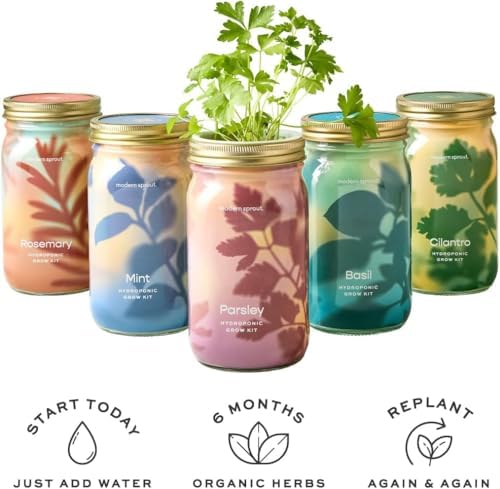 Modern Sprout Mason Garden Jar-Self-Watering Kit - Lavender+Rosemary - Image 6