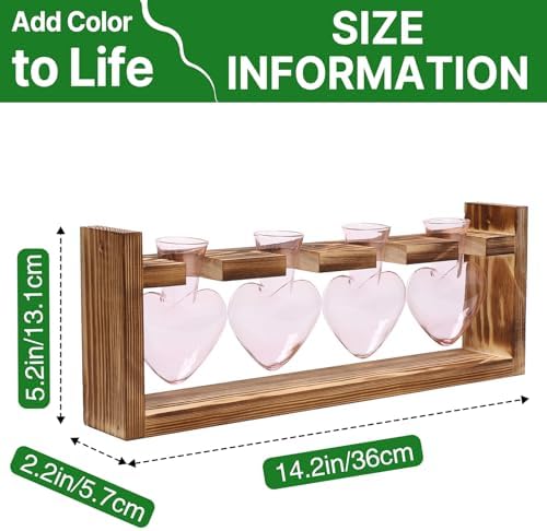 Plant Propagation Stations Heart Plant Terrarium Kit - Image 4