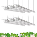 Barrina Plant Grow Lights, 4FT 5000K Full Spectrum Daylight White, 6 Packs by Barrina