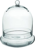 Syndicate Sales Inc 3777-04-09 10" X 11" Terrarium Cloche by SyndicateHomeGarden