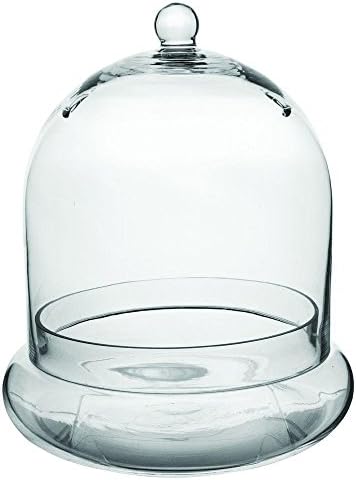 Syndicate Sales Inc 3777-04-09 10" X 11" Terrarium Cloche by SyndicateHomeGarden