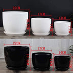Plant Pot Set White Ceramic Planter for Indoor Outdoor Plants Flowers Modern Cylinder Flower Pot with Drainage Hole and Hole Saucer Saucer Office Balcony Decor - Image 3
