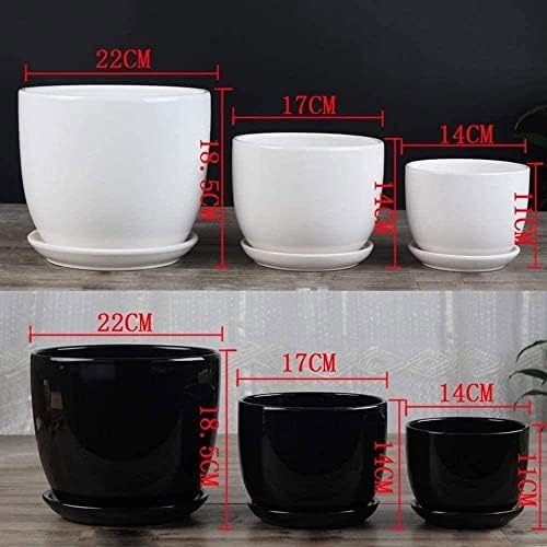 Plant Pot Set White Ceramic Planter for Indoor Outdoor Plants Flowers Modern Cylinder Flower Pot with Drainage Hole and Hole Saucer Saucer Office Balcony Decor - Image 3