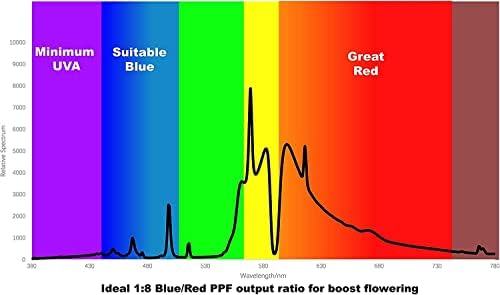 2150umol HPS 1000W DE Grow Light Bulb High Pressure Sodium Double Ended Flowering 4 Pack - Image 4