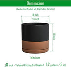 D'vine Dev 2-Pack Ceramic Pots with Saucers, Black/Tan, 8 in, 94-V-D-7 - Image 3