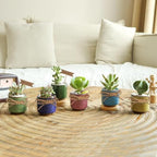T4U 2.5 Inch Small Ceramic Succulent Planter Pot with Bamboo Saucer Set of 6, Ice Crack Glaze Porcelain Handicraft Plant Container Gift for Mom Sister Aunt Best for Home Office Desk Decoration - Image 6