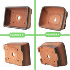MUZHI Decorative Ceramic Bonsai Planter Pot 8.5 Inch with Tray, Breathable Unglazed Rectangle Terracotta Clay Pot for Tree Succulent Cactus Indoor Outdoor Red Brown (2Pcs Rectangle 6") - Image 3