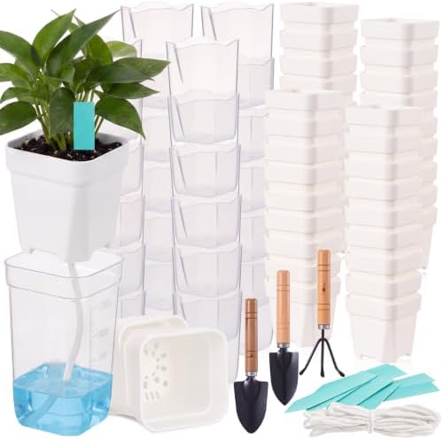 30 Pack 2.5" Small Self Watering Pots for Indoor Plants Clear Mini Self Watering Plant Pot with Water Level, Drainage Holes 30 Plastic Label 3 Planting Tools, Rope for Propagation Succulents by RimCereal