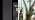 GLOWRIUM Tall Plant Grow Light for Indoor Plants, Full Spectrum Plant Light - Image 7