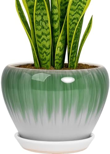 Deep Dream 8 Inch Plant Pots- Ceramic Pots for Plants with Drainage Hole and Saucer, Large Planter Pot for Indoor Plants Outdoor Decor, White&Green by DeepDream