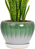 Deep Dream 8 Inch Plant Pots- Ceramic Pots for Plants with Drainage Hole and Saucer, Large Planter Pot for Indoor Plants Outdoor Decor, White&Green by DeepDream