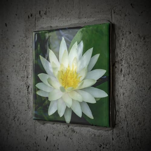 3dRose Issaquah, WA State. Hanging Planter 8 Inch Ceramic Tile - Image 2