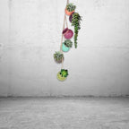 6 Pieces Pot Tied Rope Wall or Ceiling Mount Hanging Succulents Plant Flower Pot Multicolor Ceramic Indoor Decor Small Hanging Pots for Succulents Outdoor Indoor on Wall Ceramic - Image 2