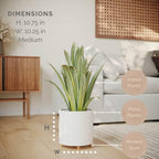 EverNest Claire Modern Indoor Plant Pot with Stand, White Pattern, 10 Inch, SelectBase, Neutral Mid-Century Modern Style, Metal Home Decor Planter (Medium, 2 Gallon) - Image 2