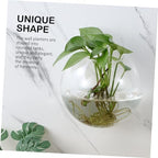4pcs Wall Propagation Planters Glass Globe Hanging Terrarium Station Transparent Glass Vases for Hydroponics Plants Home Office Living Decor - Image 3