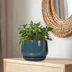 G EPGardening Ceramic Plant Pots - 9 Inch Round Modern Planter Indoor with Drainage and Tray for Indoor Outdoor Flower, Office Decor, Gardening Gifts, Retro Blue - Image 6