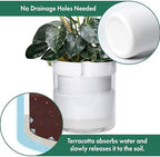 Phoenix Vine 10 Inch Self Watering Planter, White Terracotta Clay Pot with Glass Reservoir for Indoor Plants, Herbs, Flowers, Set of 1, 52-B-I-1 - Image 5