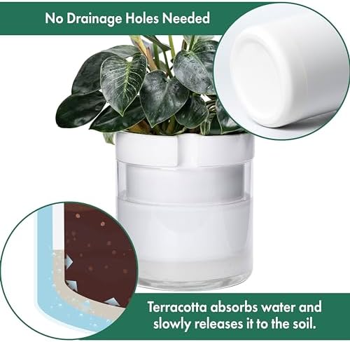 Phoenix Vine 10 Inch Self Watering Planter, White Terracotta Clay Pot with Glass Reservoir for Indoor Plants, Herbs, Flowers, Set of 1, 52-B-I-1 - Image 5