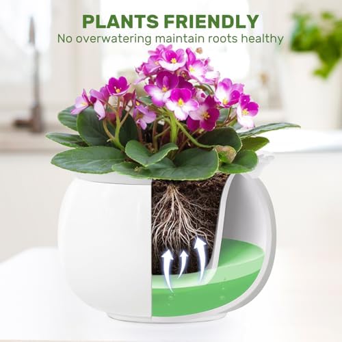 8 inch Self Watering Ceramic African Violet Pot for Indoor Plants - Image 3