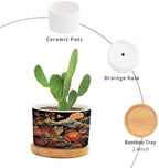 Animal Tiger Stripe Chinoiserie Planters Ceramic Orange and Coral Peony Flower Round Flower Pot with Drainage Holes and Bamboo Tray Pot for Home Office Desk Garden - Image 3