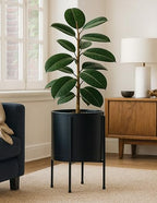 D'vine Dev Plastic Planter Pot with Metal Stand, Black, 12 in, 55-D-B-3 - Image 6