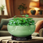 MUZHI Lotus Flower Bowl Planter for Water Lily Seeds 8", Elegant Hole-Free Ice Crack Hydroponic Pink Lotus Plant Bowl Pot with Stand - Image 6