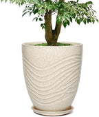 11.8 Inch Modern Ceramic Plant Pot with Saucer, Flower Pot with Drainage Hole Mesh Net,Indoor Outdoor Planter (Silk White) by Unknown