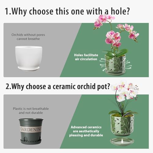 EFISPSS Orchid Pots with Holes, 7 Inch Orchid Pots with Drainage Holes and Tray, Indoor or Outdoor Large Pot for Orchid Care,Durable for Repotting or New Plants - Green - Image 7