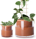 Phoenix Vine 4 Inch 6 Inch Self Watering Plants Pots, Design Terracotta Pots for Plants, Indoor Cylinder Terra Cotta Planter with Glass Vase Set, 51-A-G-46 by Phoenix+Vine