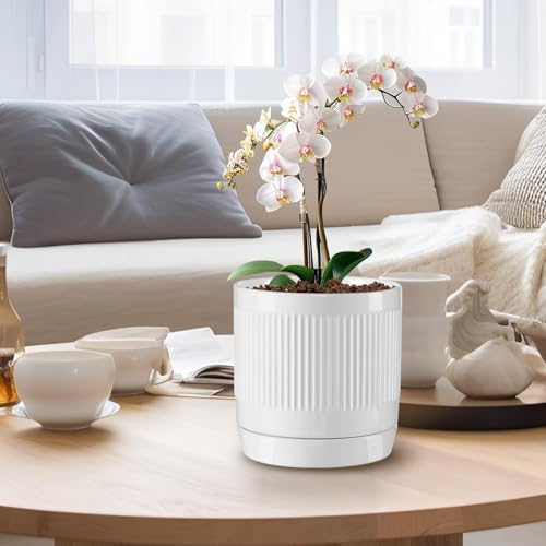 Vanavazon 6 Inch Glazed Ceramic Plant Pots with Drainage Hole and Saucer, Cylinder Indoor Planters for All House Plants, Modern Decor for Home & Office, Set of 2 (White) - Image 5