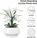 10 Inch White Ceramic Planter with Drainage Hole and Saucer - Image 3