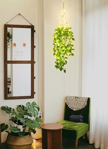 Mkono Bundle of Fake Hanging Plant with Light and 2pcs Artificial Plants for Home Decor Indoor Fake Vines Greenery for Bedroom Wall Living Room Bathroom Kitchen Office Decor, Pothos - Image 2