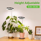 LORDEM Desk Grow Light, Full Spectrum LED for Indoor Plants, 2 Pack - Image 2