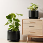 LE TAUCI Ceramic Plant Pots, Set of 2, 8+10 Inch, Black by LETAUCI