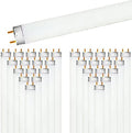 LUXRITE F17T8/850 17W 24 Inch T8 Fluorescent Tube Light Bulb, 5000K 30-Pack by LUXRITE