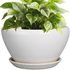 Ceramicfor Ceramic Planter - 9 Inch Plant Pot Indoor with Drainage Hole and Saucer for Outdoor Plants Mid-Century Round Planter Modern Flower Pot for House Garden White by Ceramicfor