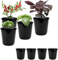 Kratky Method Hydroponic Planter Kit, 8 Hydroponic Planter Plus 24 Growing Sponges for Herbs, Hydroponic Mini Buckets for Windowsill Herb Garden, Hydroponic Growing System for Vegetables (Black) by Kiicii