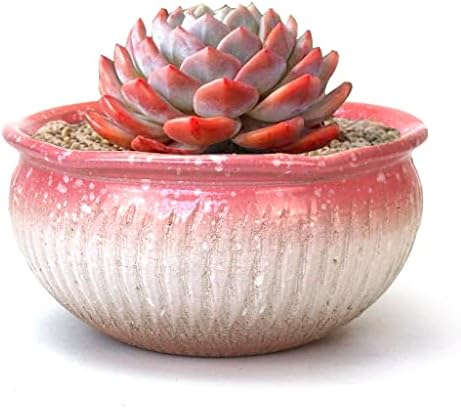 8 Inch Succulent Pot with Drainage and Saucer Glazed Terracotta Round Ceramic Succulent Planter Cactus Bonsai Plant Pot (Pink) by SUMMERIMPRESSIONS
